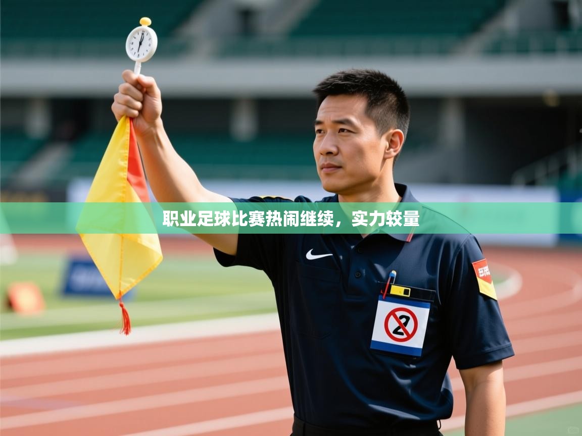 职业足球比赛热闹继续，实力较量  第2张