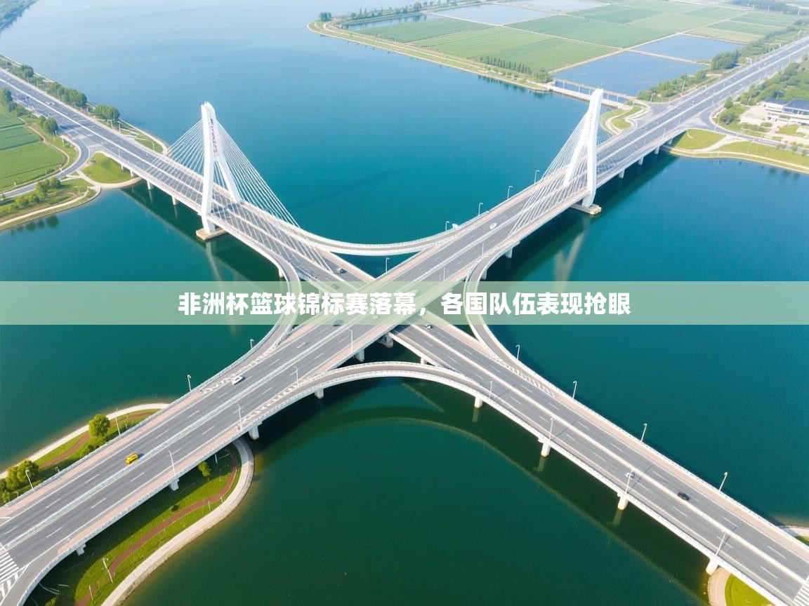 非洲杯篮球锦标赛落幕，各国队伍表现抢眼  第1张