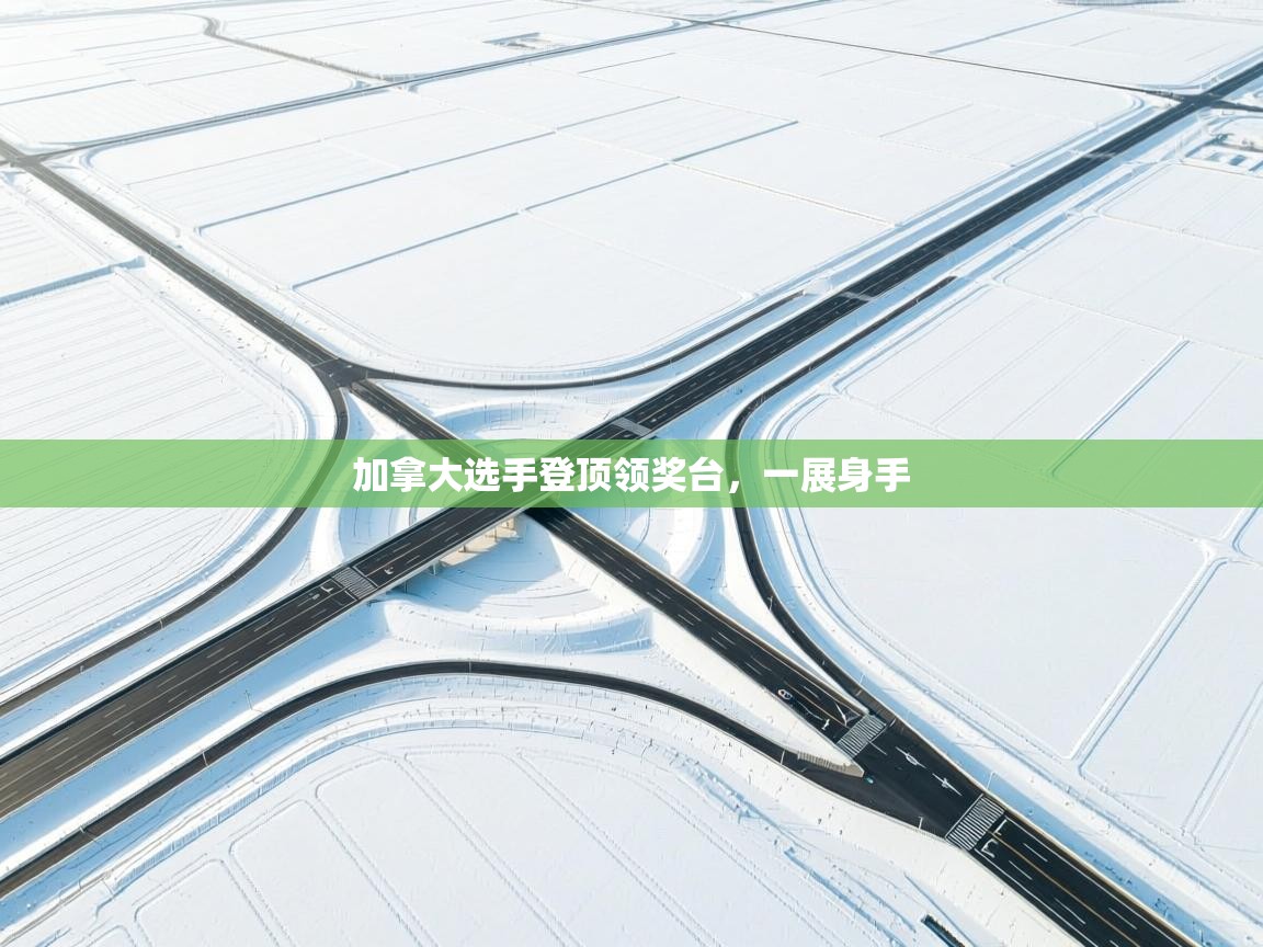 加拿大选手登顶领奖台，一展身手