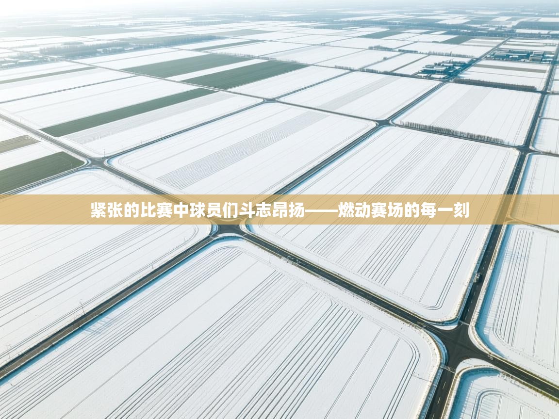 紧张的比赛中球员们斗志昂扬——燃动赛场的每一刻