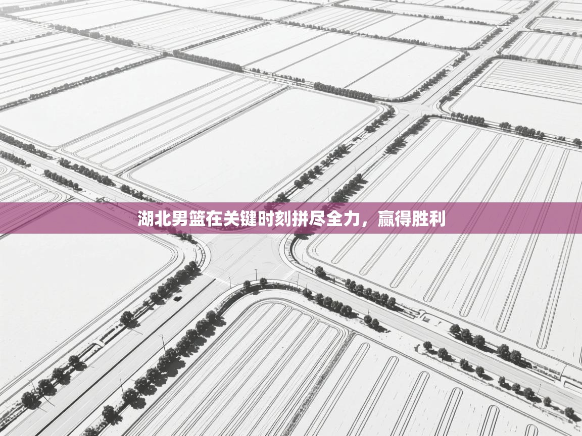 湖北男篮在关键时刻拼尽全力，赢得胜利