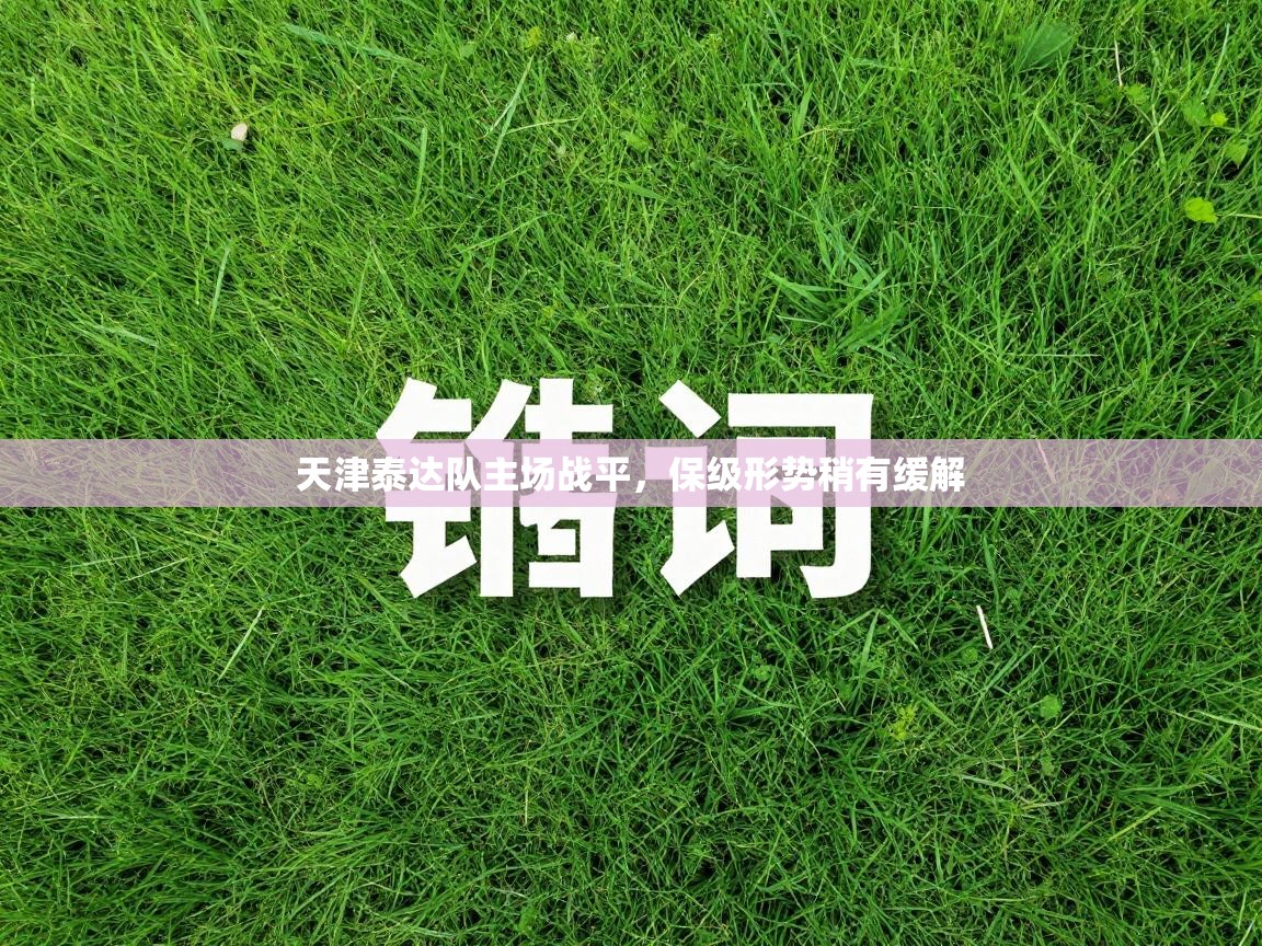 天津泰达队主场战平，保级形势稍有缓解  第2张